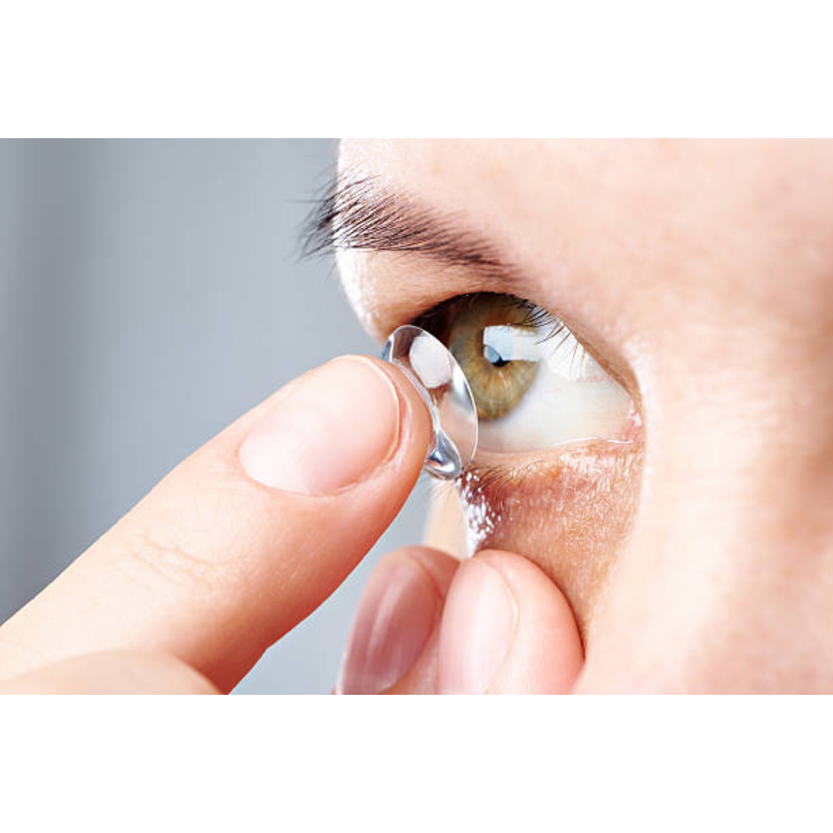 Contact Lenses