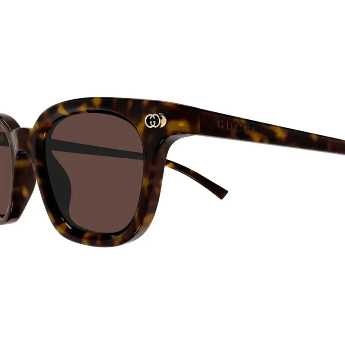 Gucci men sunglasses GG1946S 002 havana full frame at Optorium