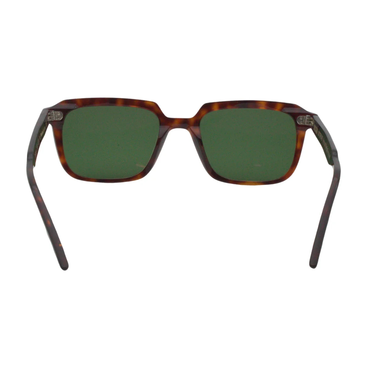 Massada shades 3195 TS havana colour full frame goggle sunglasses made in Italy | Optorium