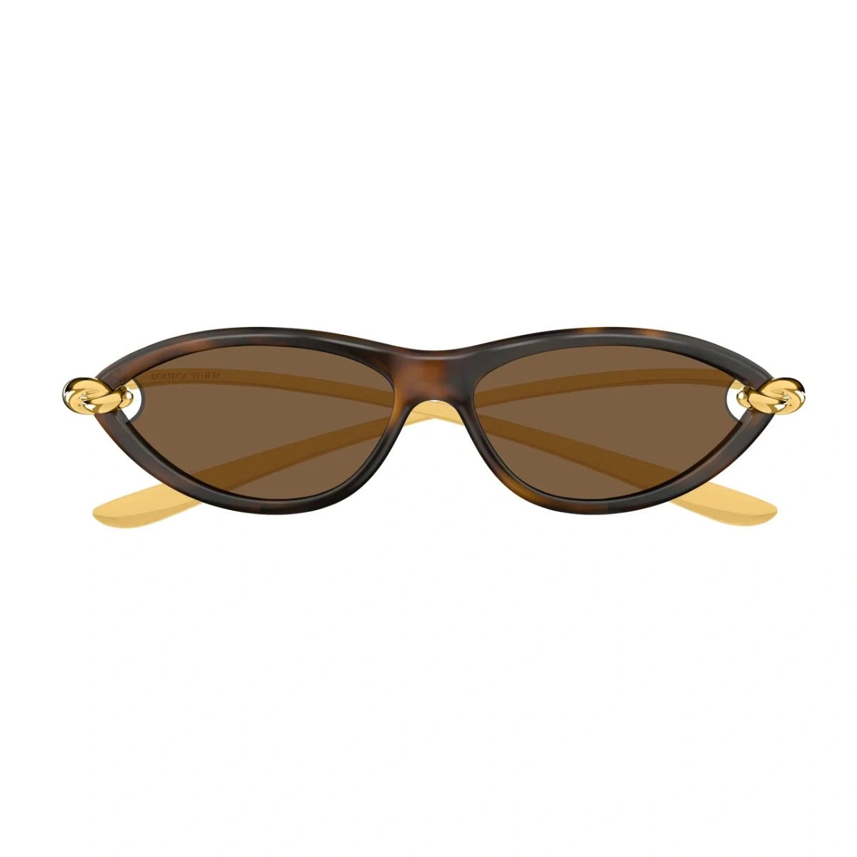 Introducing Bottega Veneta BV1390S 002 Havana cat-eye sunglasses with brown lens