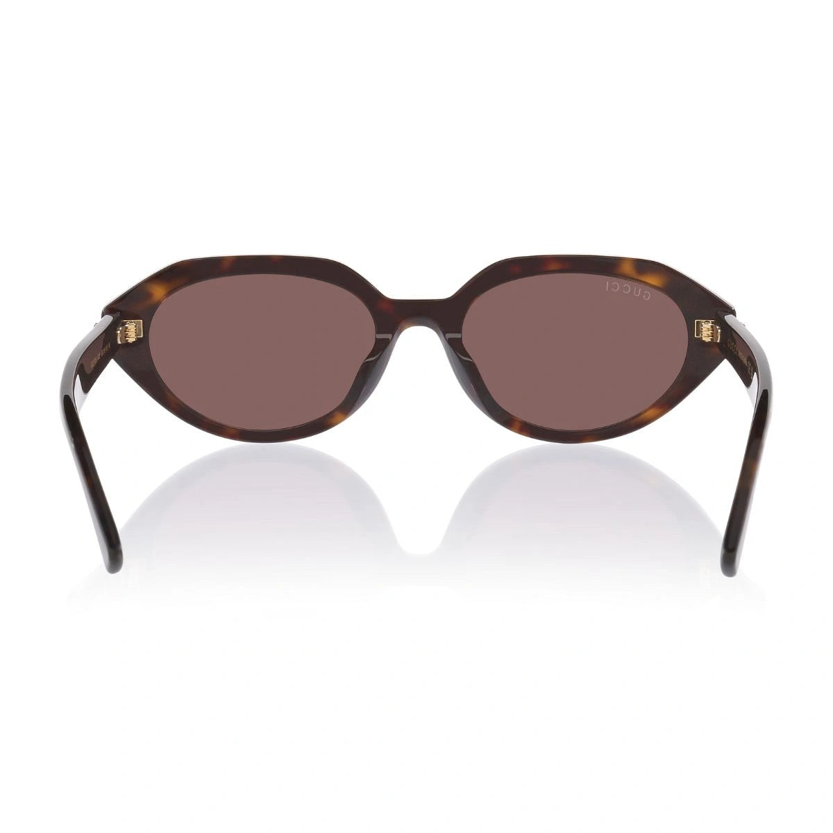 Gucci women's GG2178S 002 oval sunglasses with brown UV protection lenses