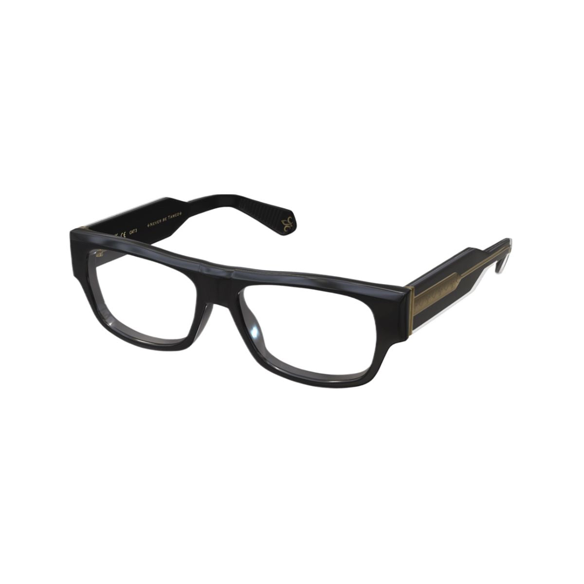 Philippe V Frame X56