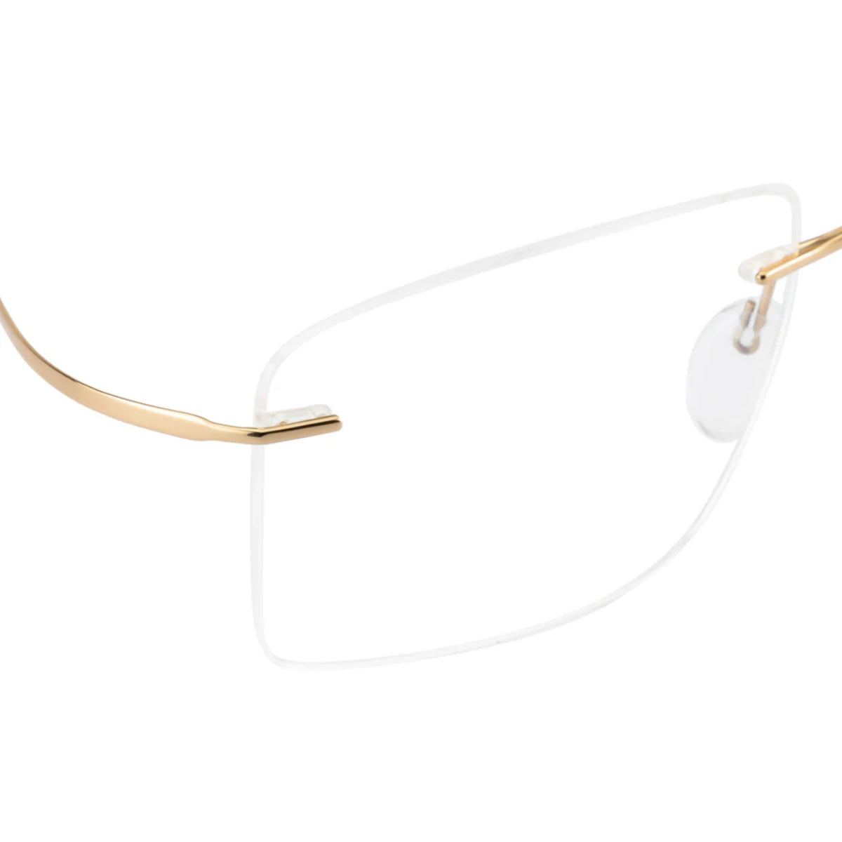 Silhouette Frame 5599 7530