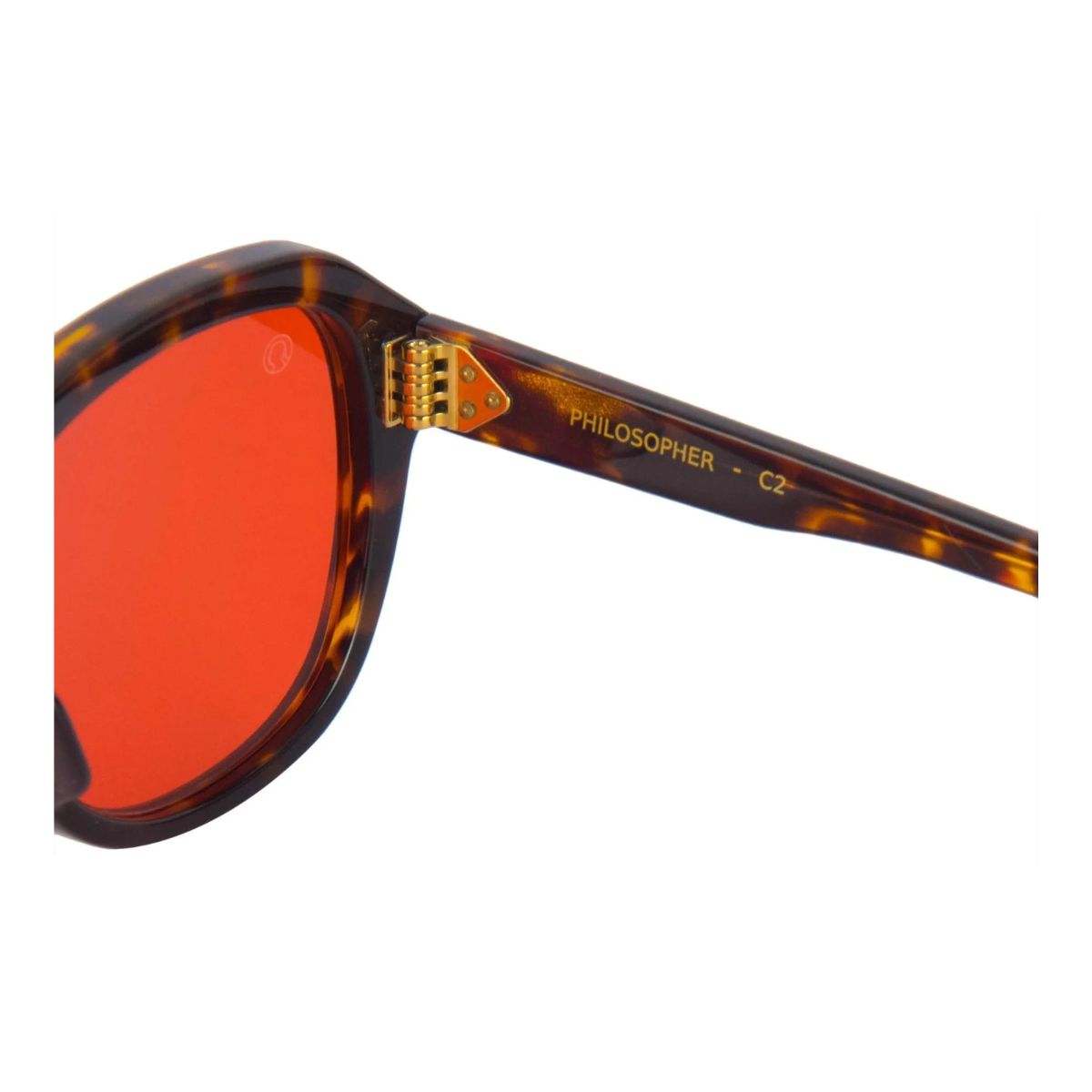 " The Monk Philosopher C2 Trendy Eyewear Sunglasses For Unisex Online At Optorium"