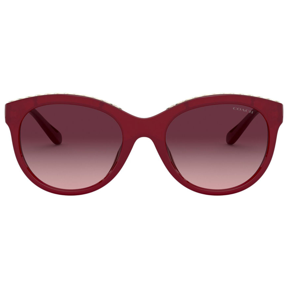 Coach sunglasses price in top india