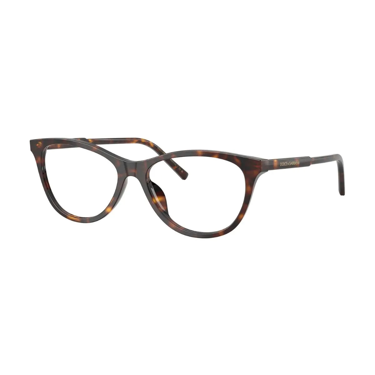 DG 3443 502 brown transparent cat eye designer optical glasses