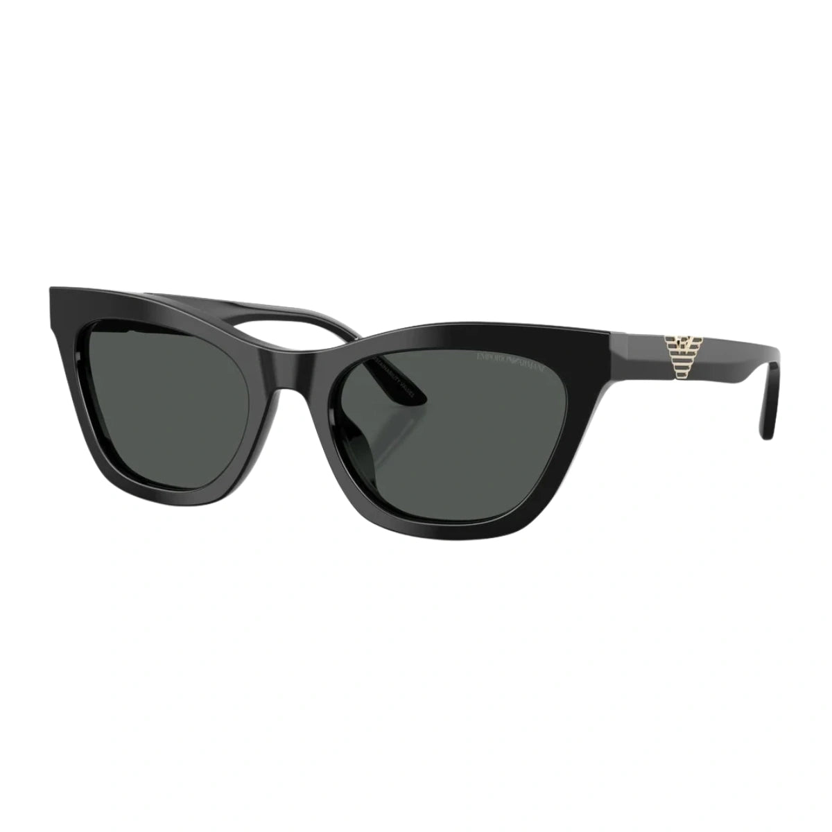 Emporio Armani full frame sunglasses EA 4259U 5017/87 black colour frame at Optorium