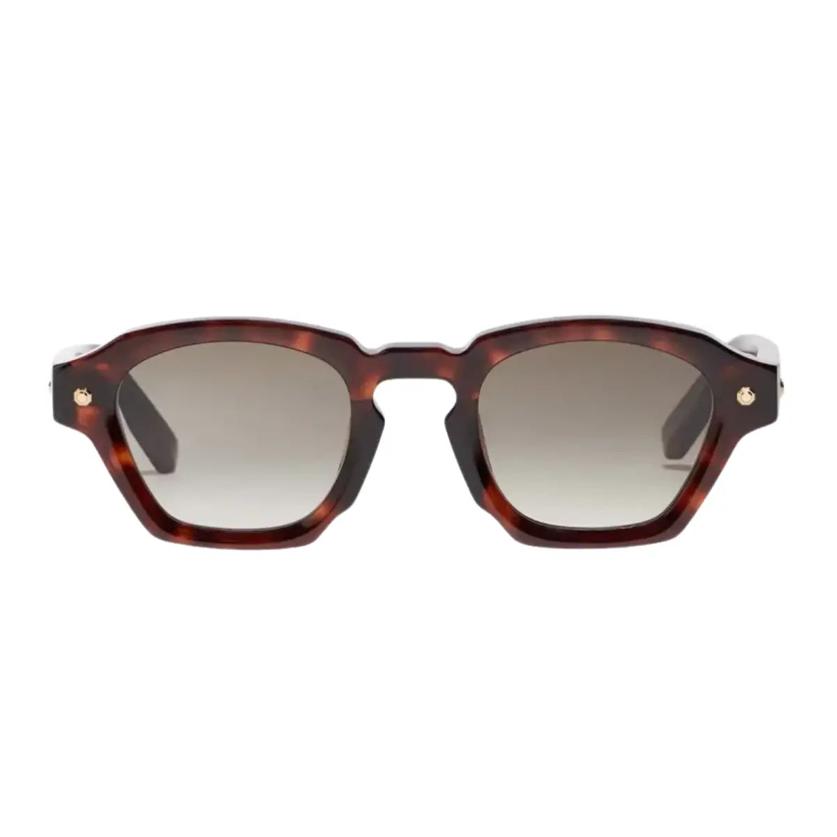 John Dalia Project Series P11 C120 Havana Full Frame Unisex Sunglasses at Optorium