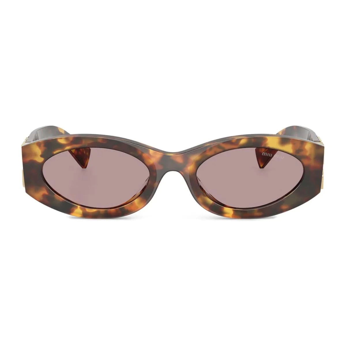 Branded Miu Miu women sunglasses SMU 11W 14L-20I with purple lenses and havana frame at Optorium