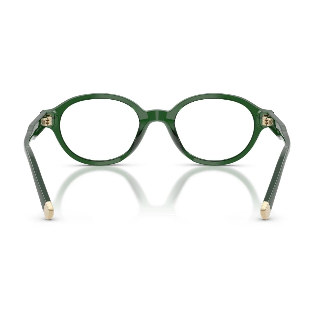 Premium Polo Ralph Lauren designer spectacles for unisex wear