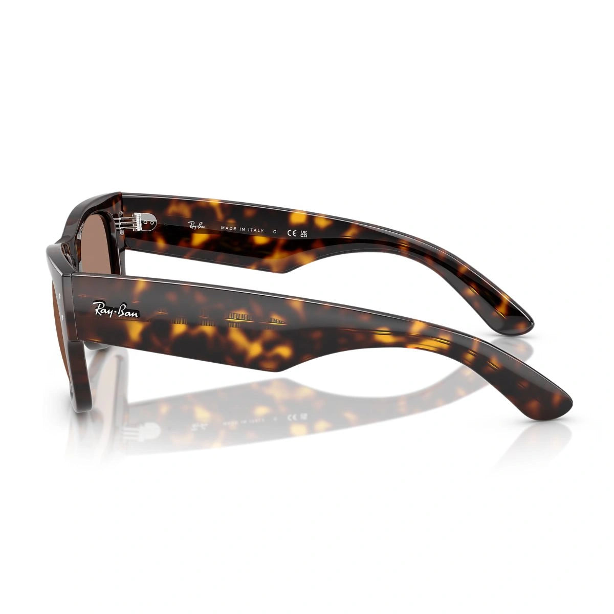 Premium RayBan Mega Wayfarer Brown Lens Designer Goggles in Havana Frame